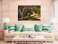 Merimbula Boardwalk - ONE