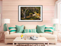 Merimbula Boardwalk - ONE