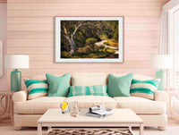 Merimbula Boardwalk - ONE