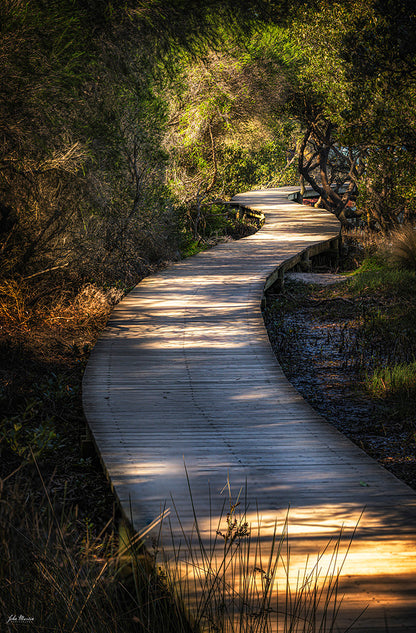 Merimbula Boardwalk - Two