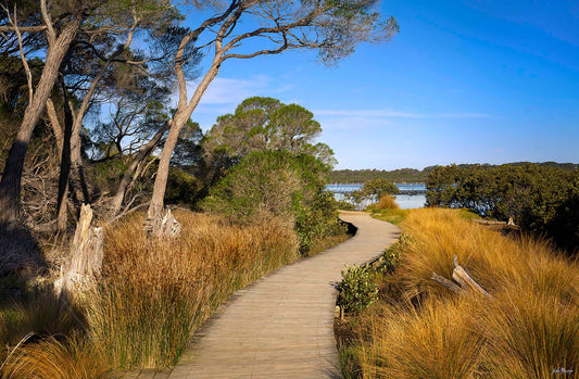 Merimbula Boardwalk - Five