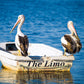 Pelican's Limo