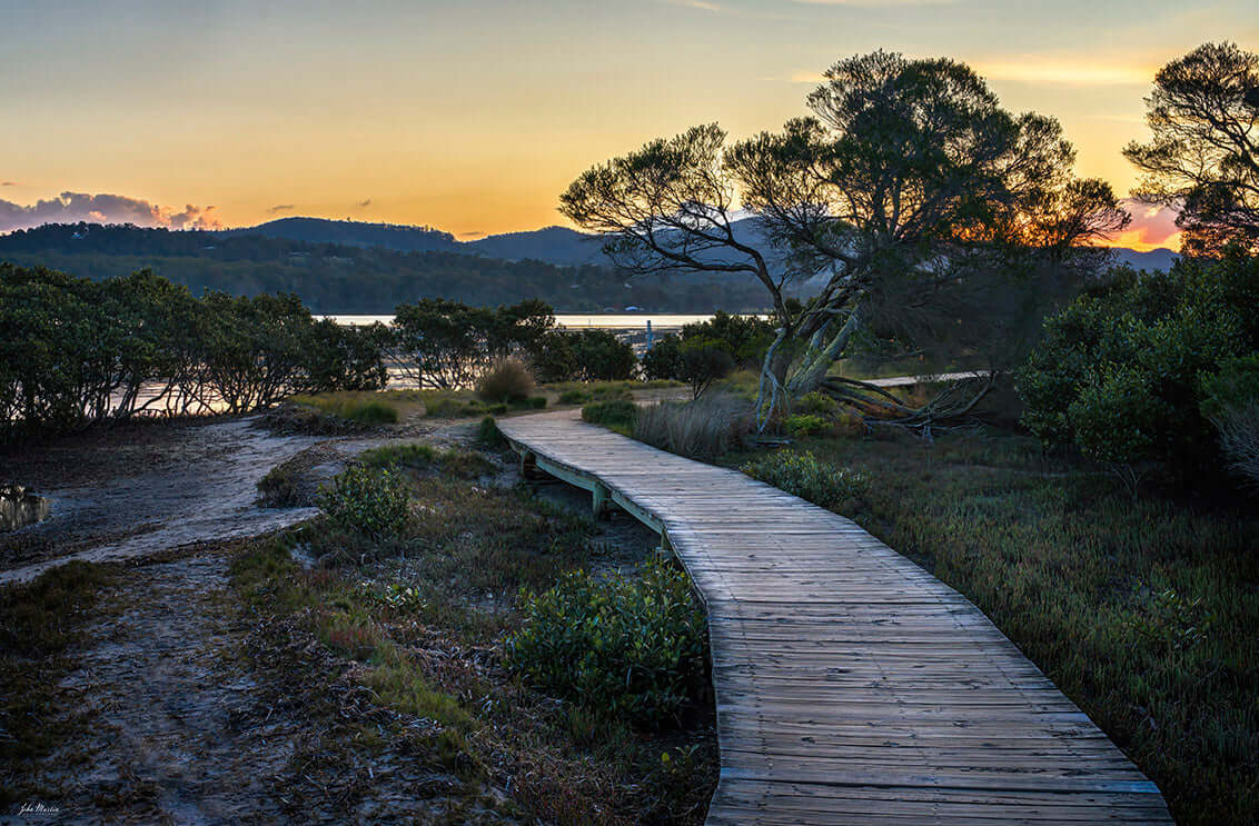 Merimbula Boardwalk - Four