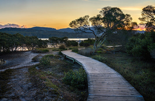 Merimbula Boardwalk - Four