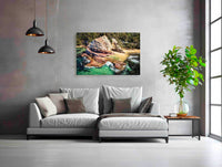 Aslings Beach Rock Pool