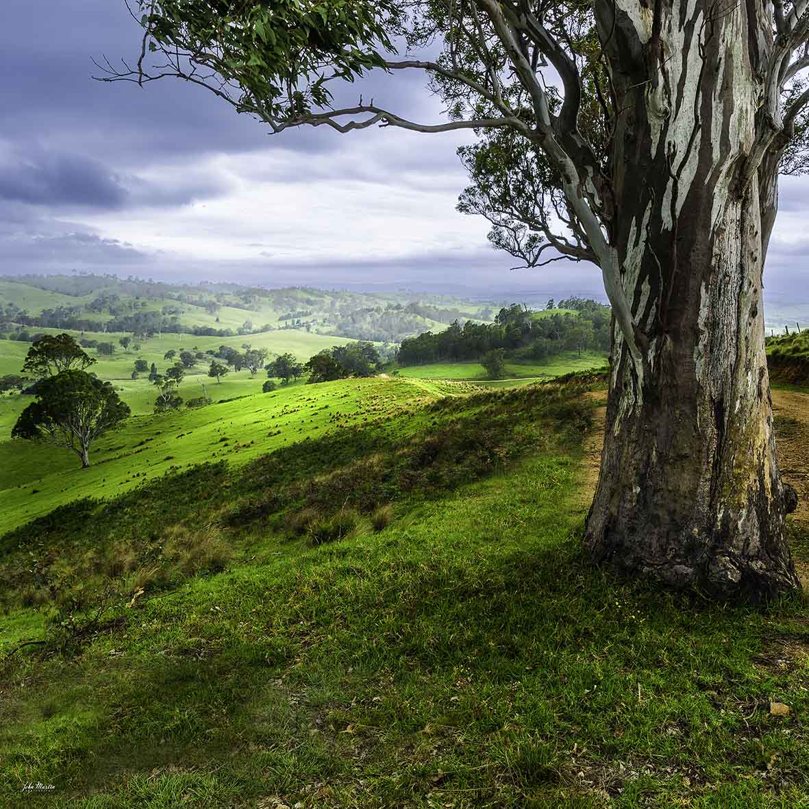 Bega Countryside
