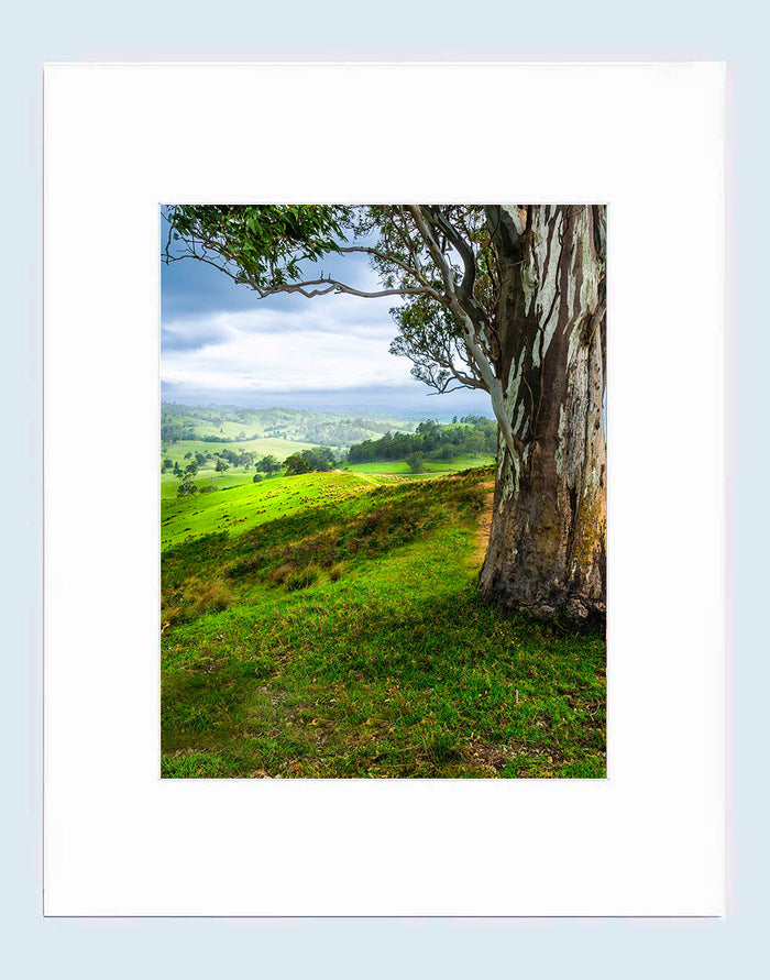 Mat Prints 16 x 20 inches - Bega Countryside