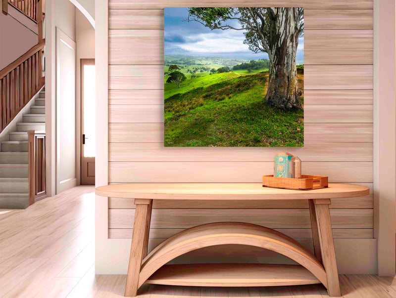 Bega Countryside