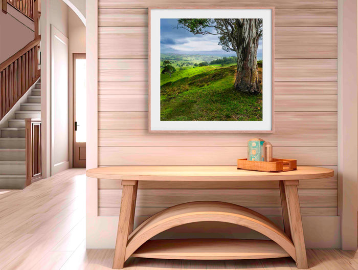 Bega Countryside