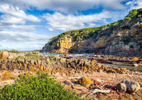Lennards Island Pambula