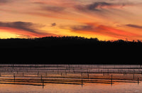 Oyster Beds Top Lake