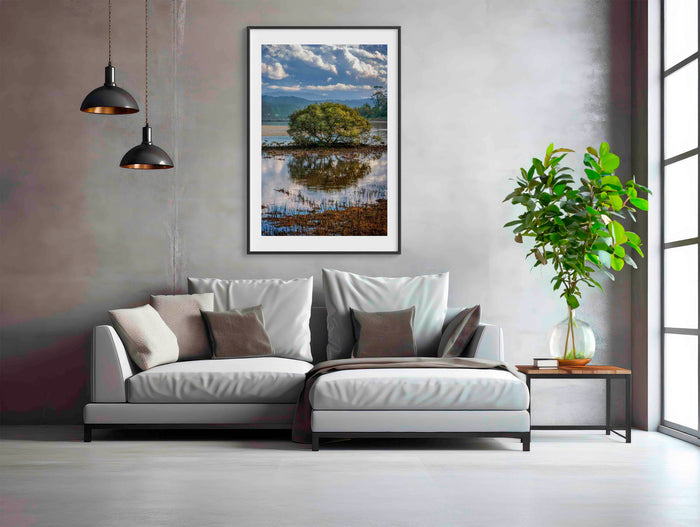 Merimbula Boardwalk Vista wall art — lake view through mangrove canopy, NSW
