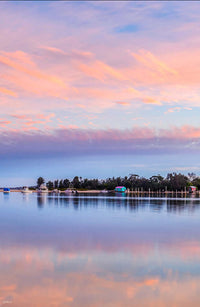 Pastel Pink Paradise