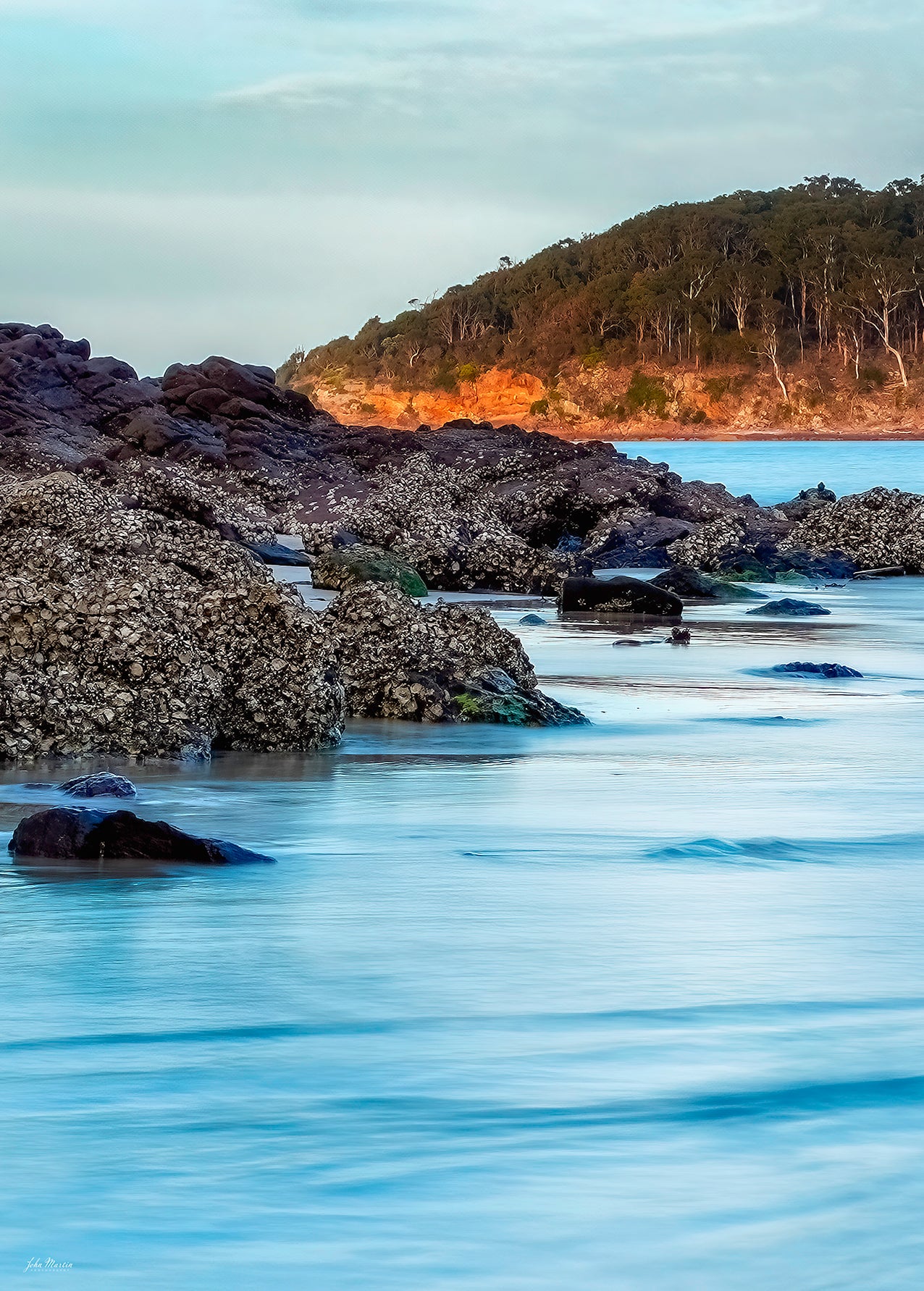 Pambula River Oysters