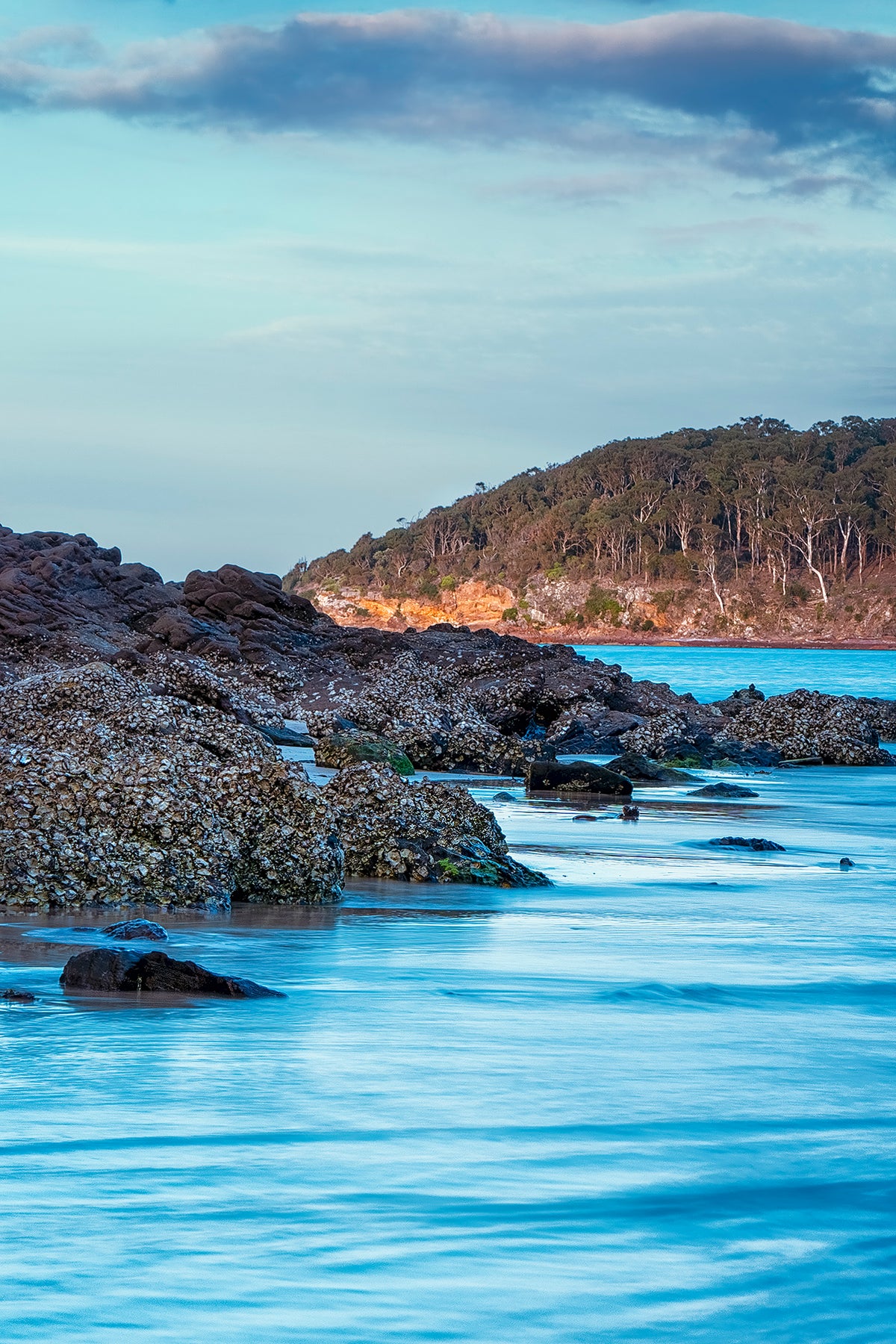 Pambula River Oysters