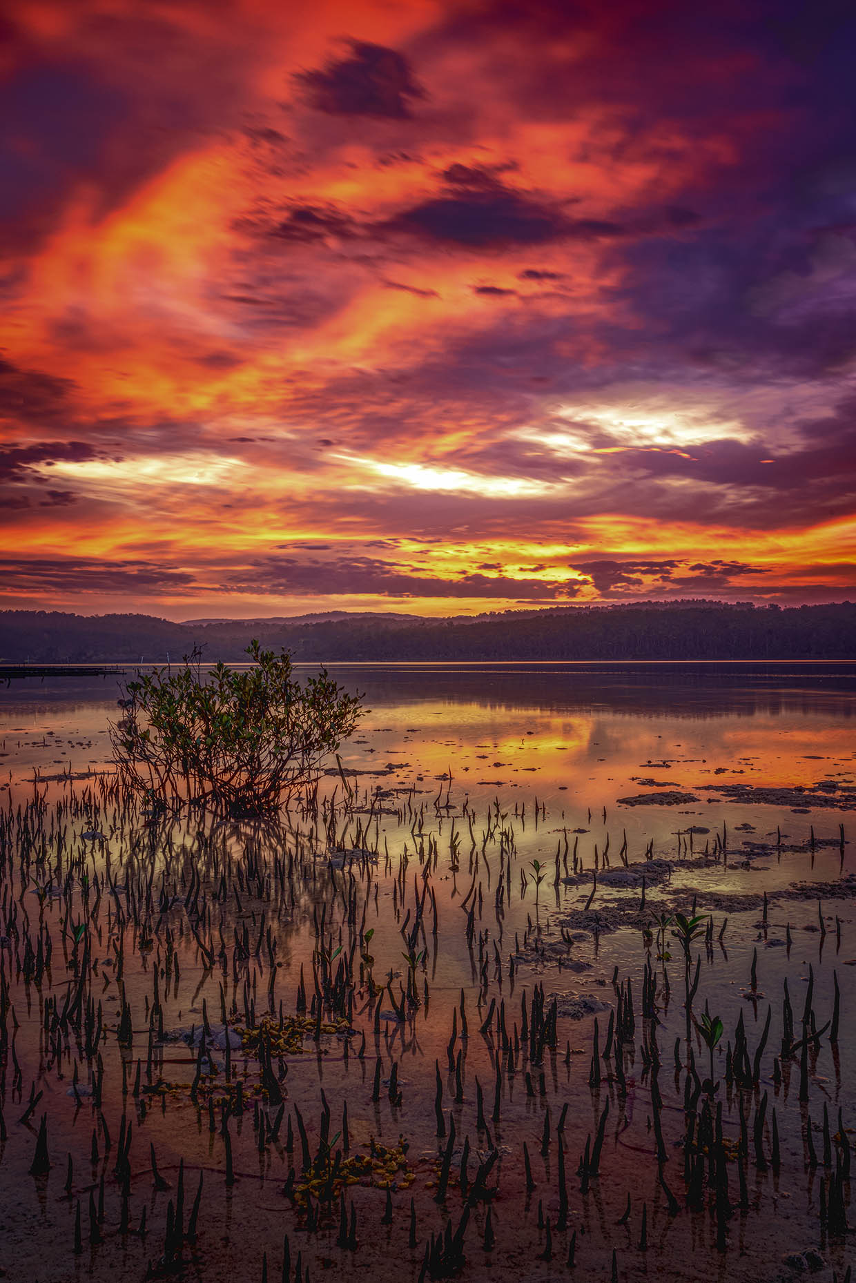 Top Lake Sunset