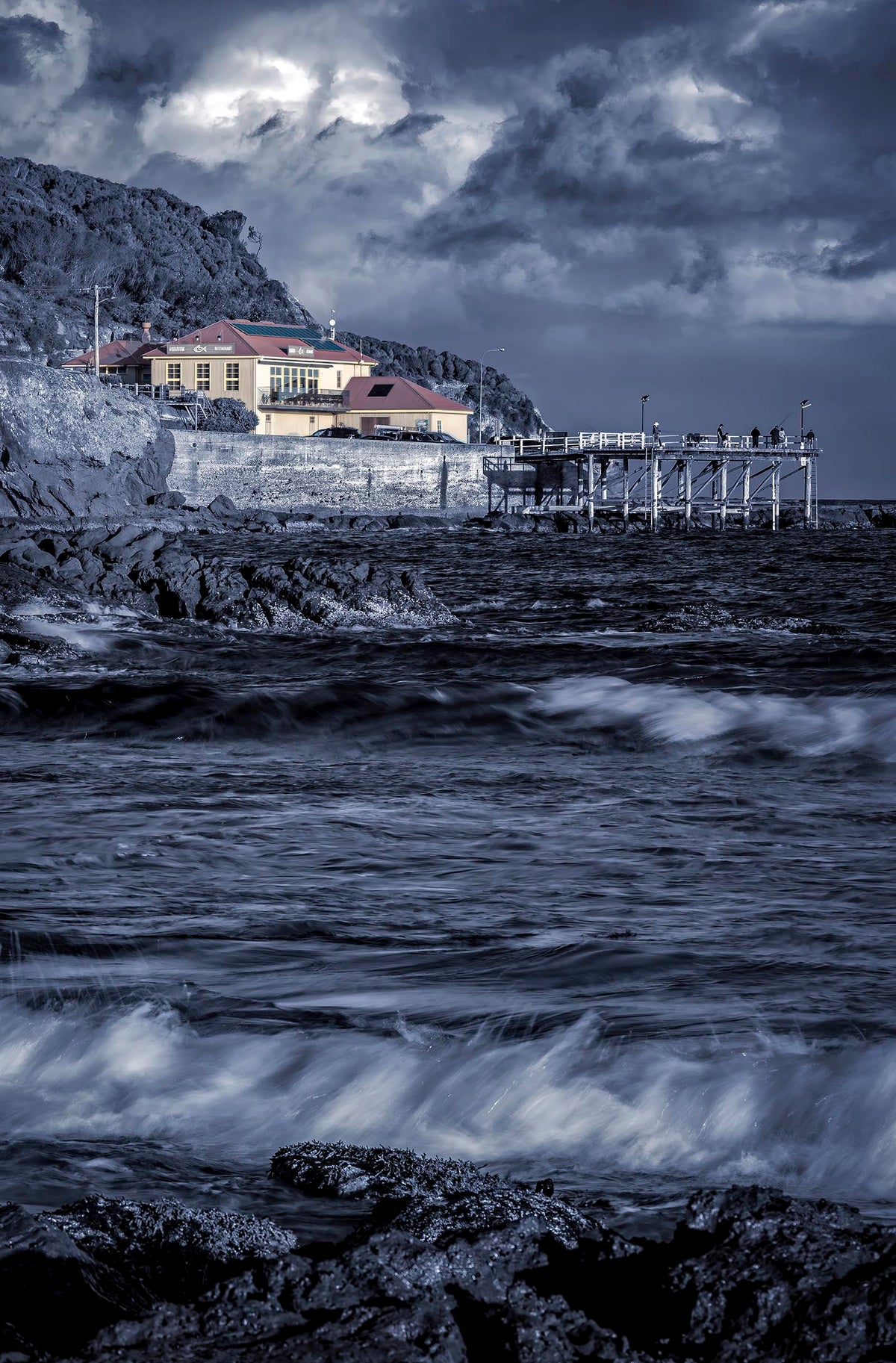 Merimbula Wharf B&W Splash of Colour