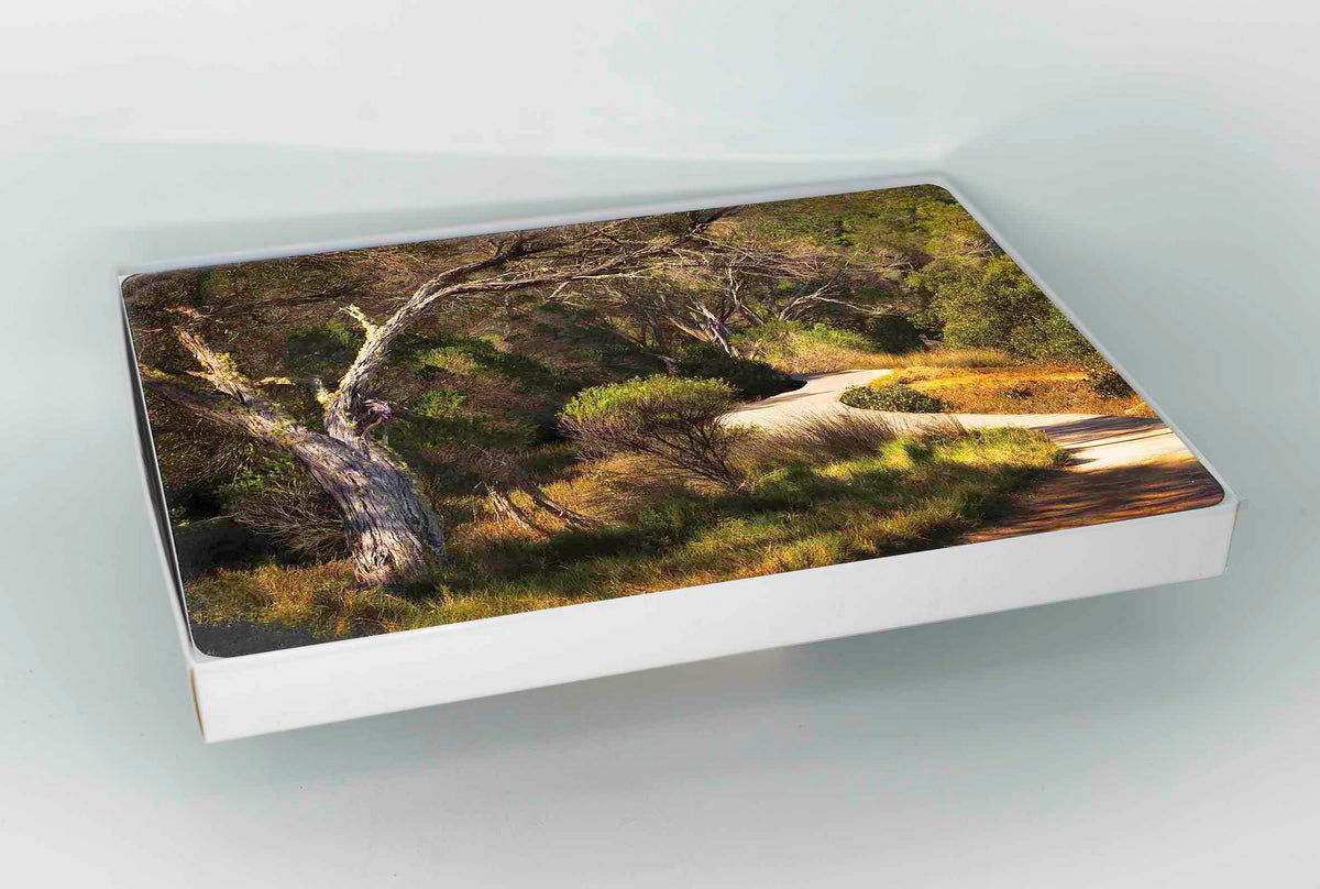 Placemats - Boardwalk One