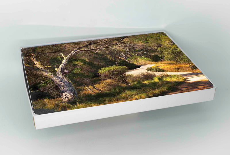 Placemats - Boardwalk One
