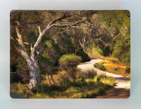 Placemats - Boardwalk One