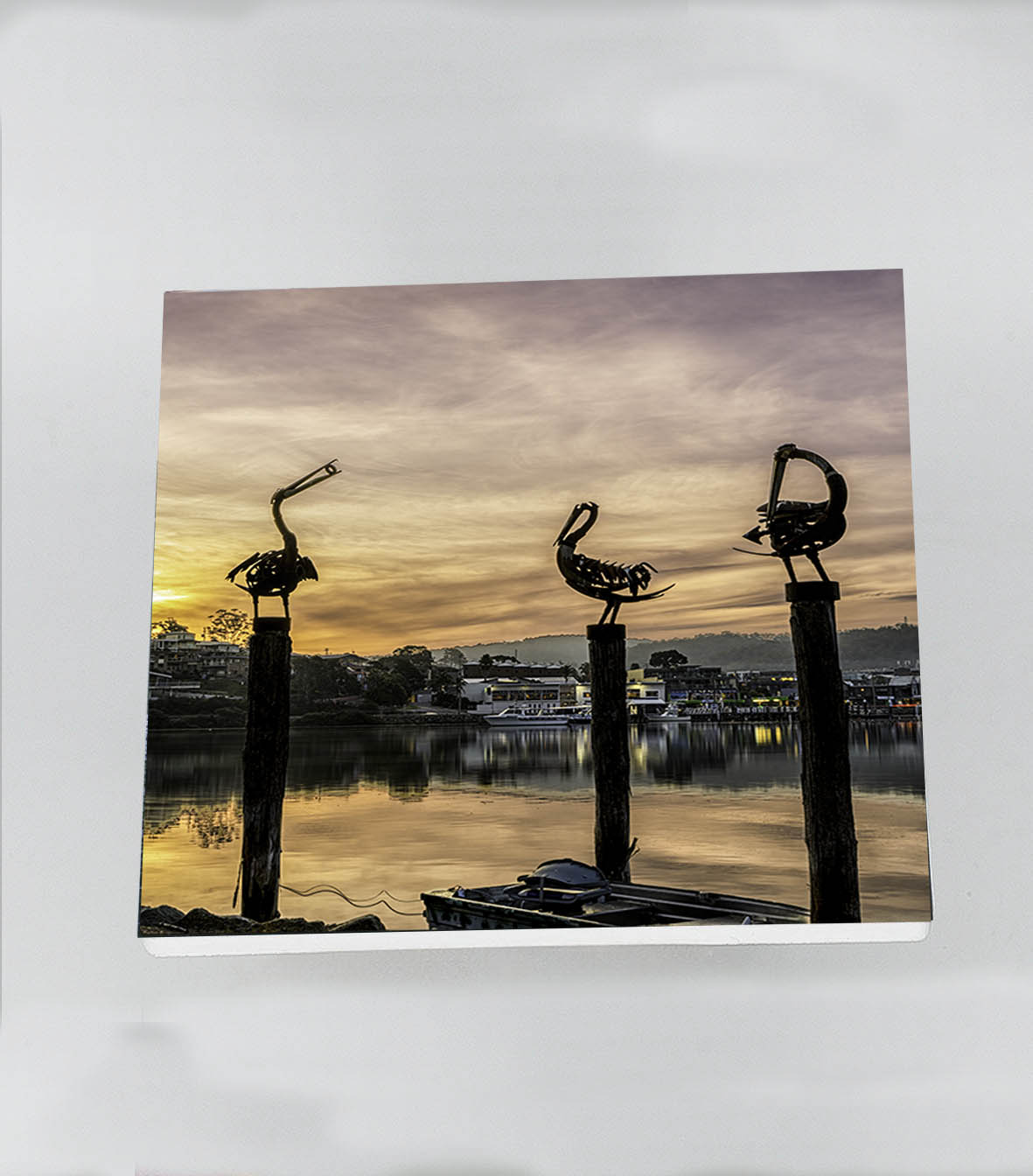 Single Coaster - Pelicans MERIMBULA - SQUARE