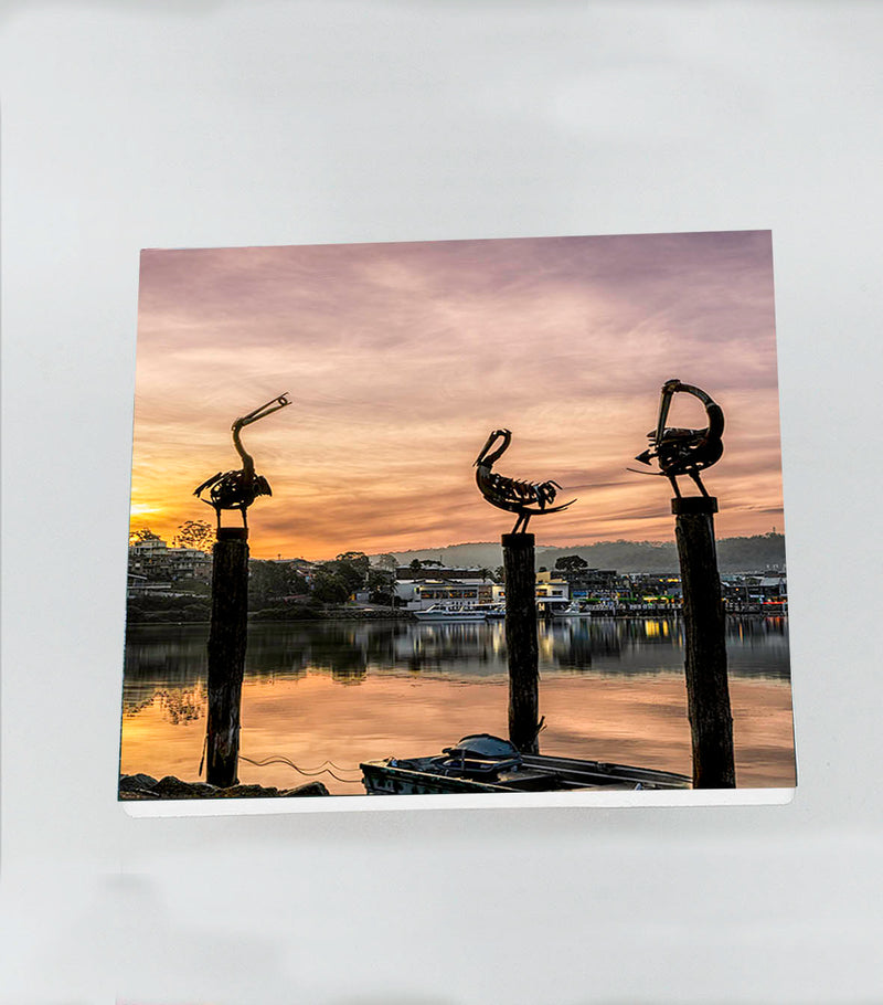 Single Coaster - Pelicans MERIMBULA - SQUARE