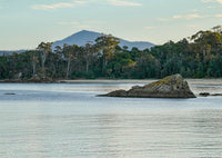 FIVE Greeting Cards Bundle - Eden