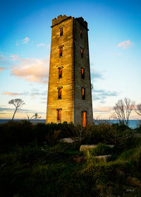 FIVE Greeting Cards Bundle - Eden